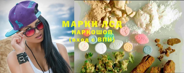 ПСИЛОЦИБИНОВЫЕ ГРИБЫ Ладушкин
